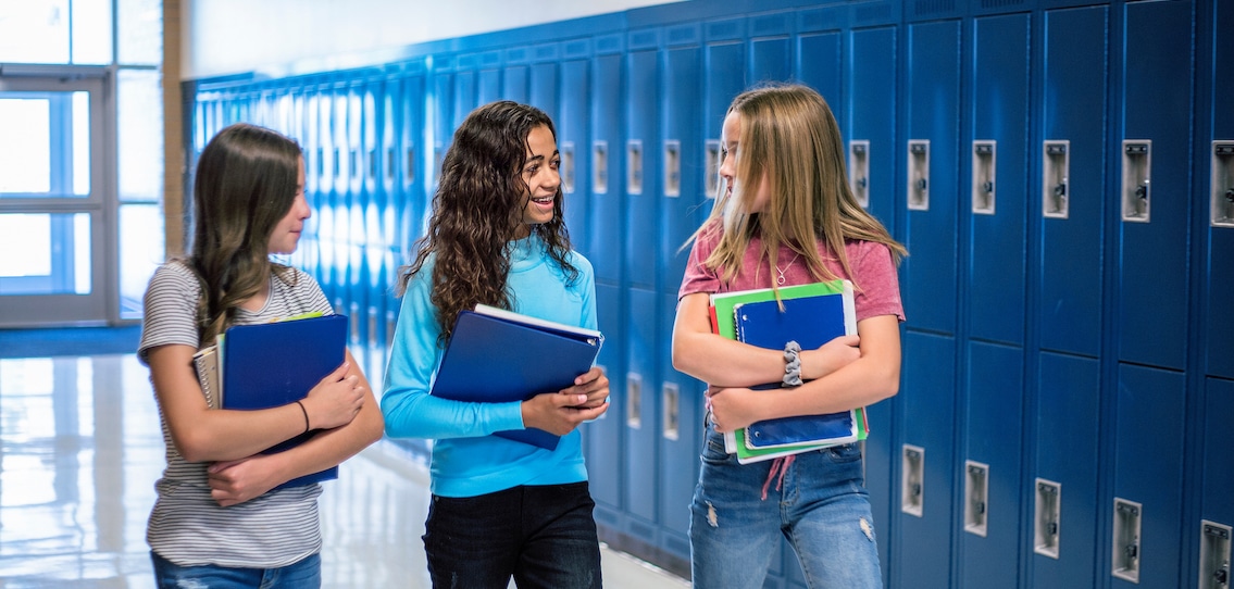 Do online math tutors customize their lessons plans for each student?